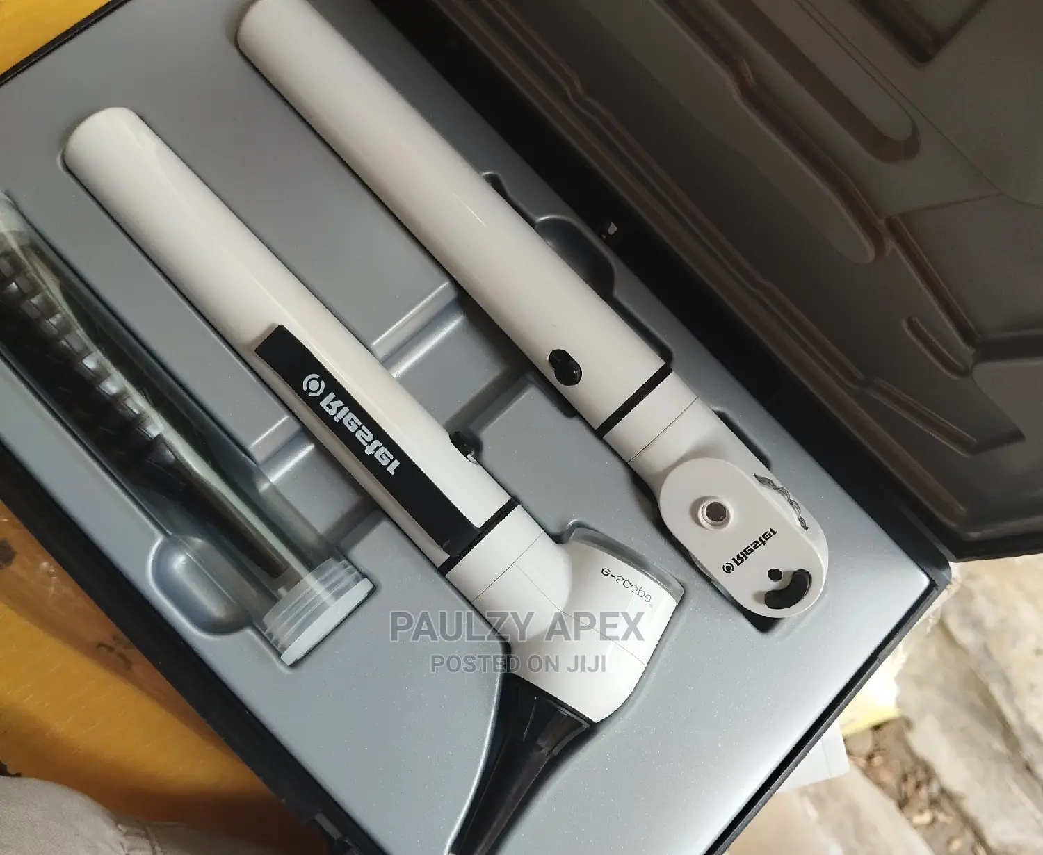 Otoscope and Ophthalmoscope (Riester) (Big)