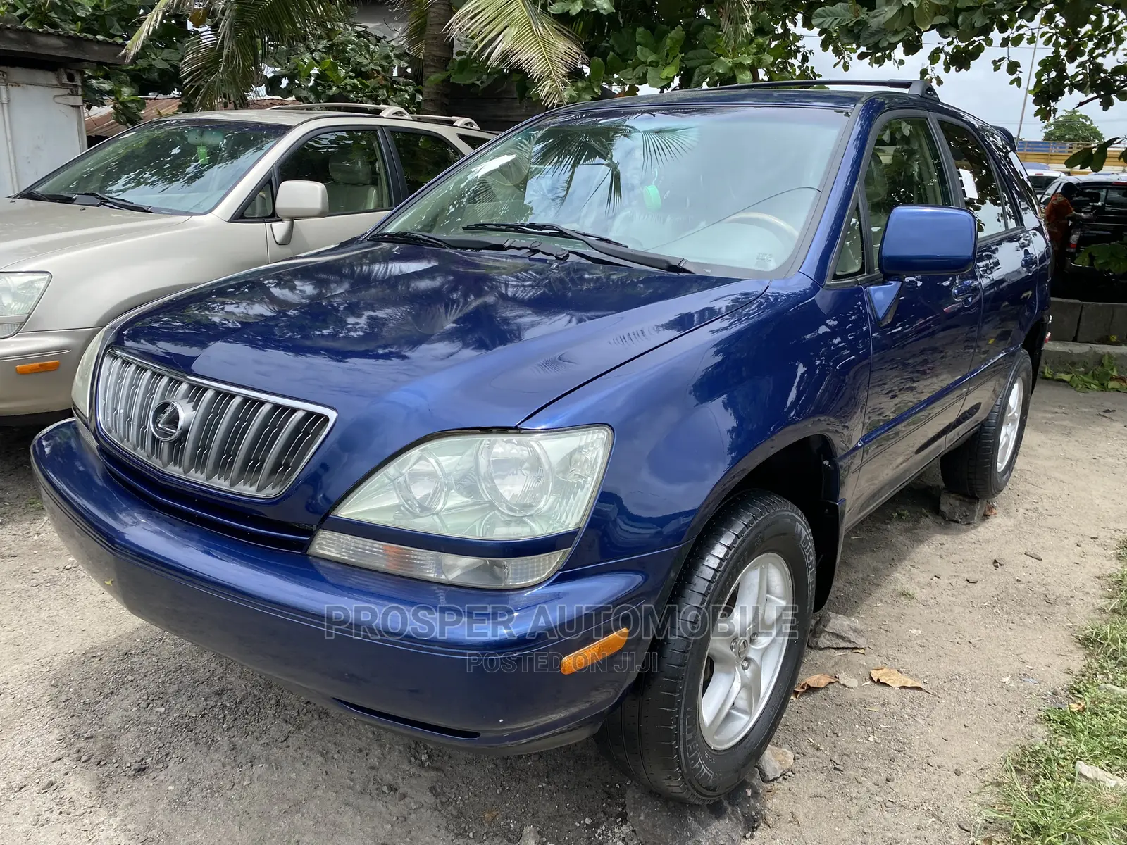 Lexus RX 300 4WD 2003 Blue