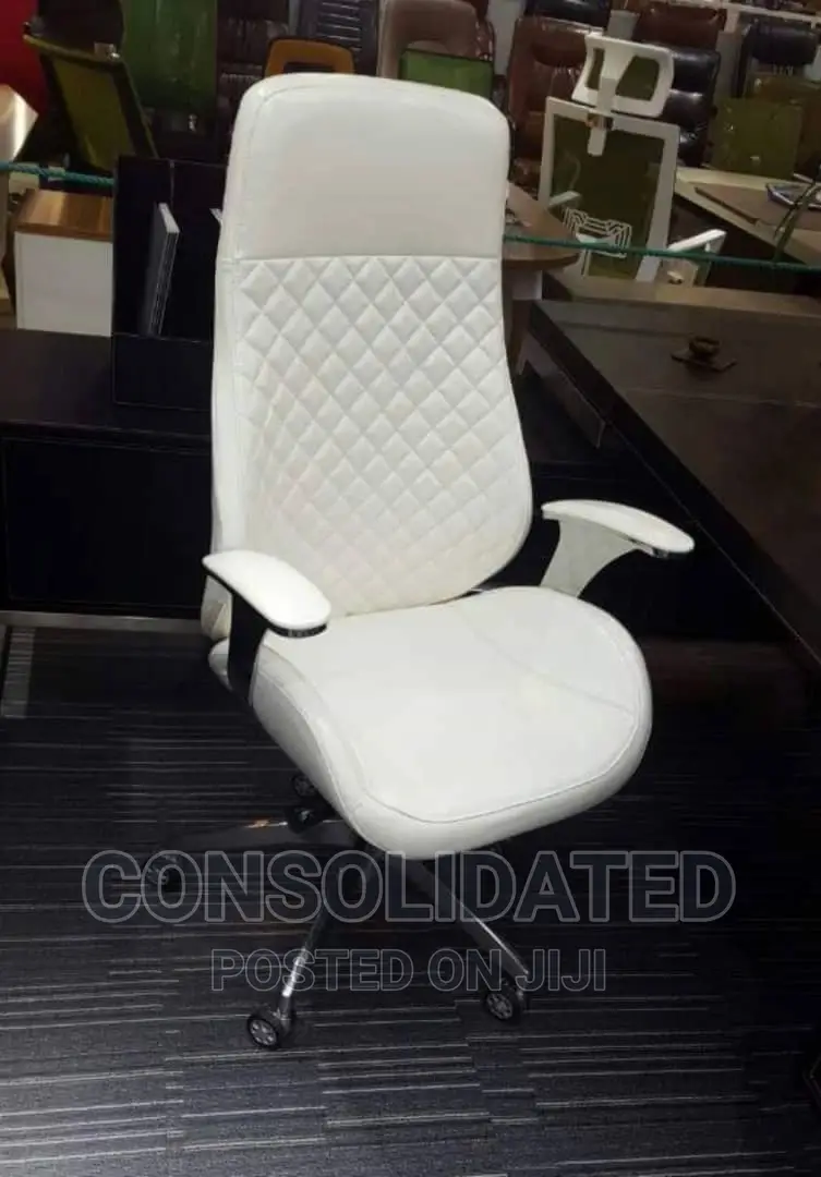Unique Executive Office Chair