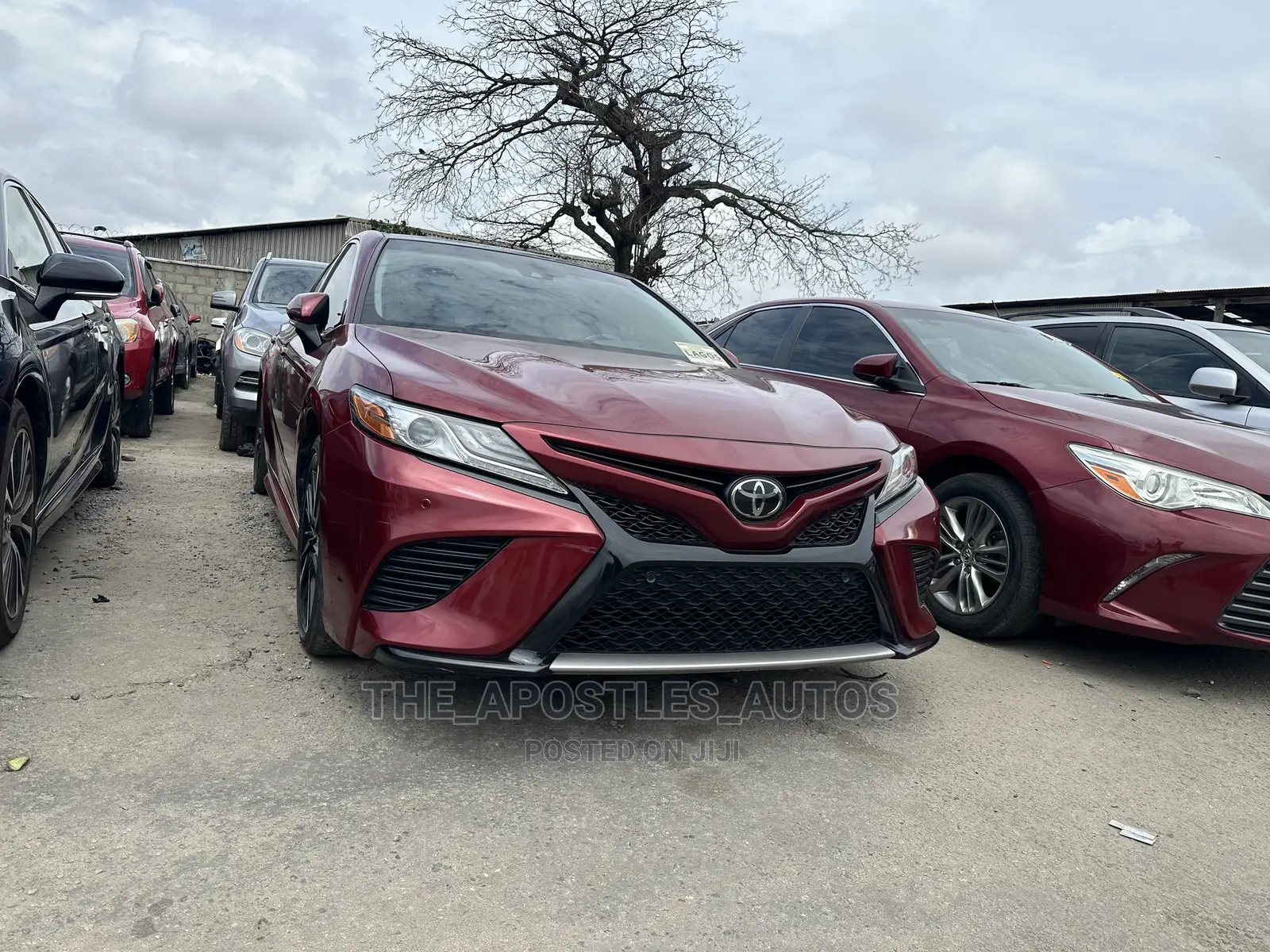 Toyota Camry XSE (2.5L 4cyl 8A) 2019 Burgundy