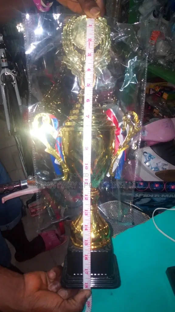 All Sizes of Sports Trophies