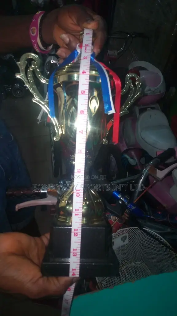 All Sizes of Sports Trophies