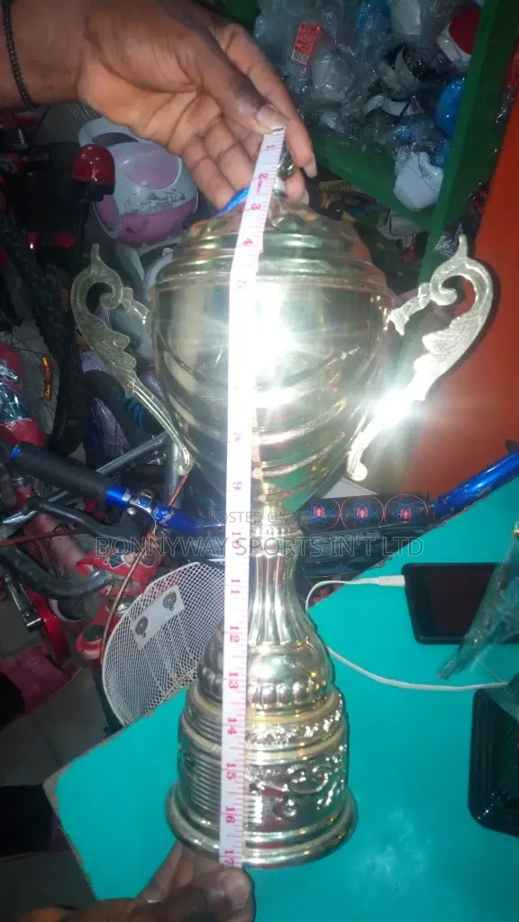All Sizes of Sports Trophies