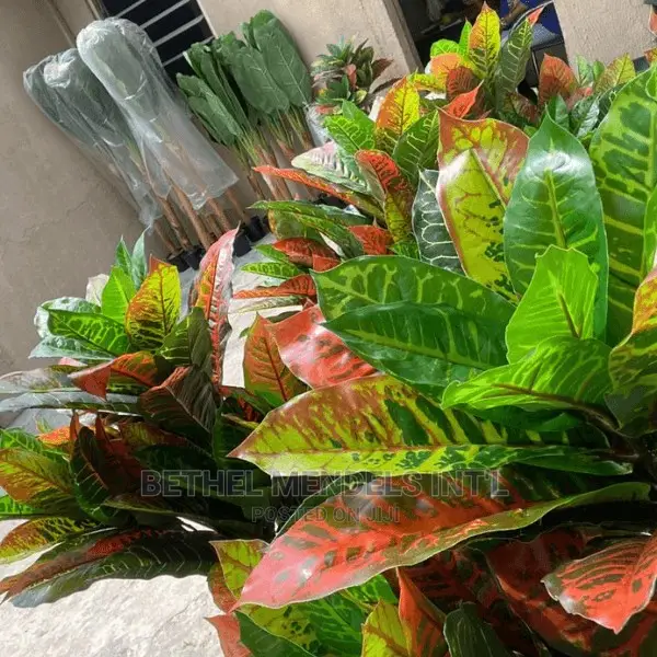 Artificial Banyan Trees Bulk Sales | Flower/Plants Sales