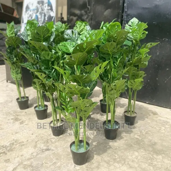 100cm Artificial Monstera Plants for Sale in Ikeja Lagos