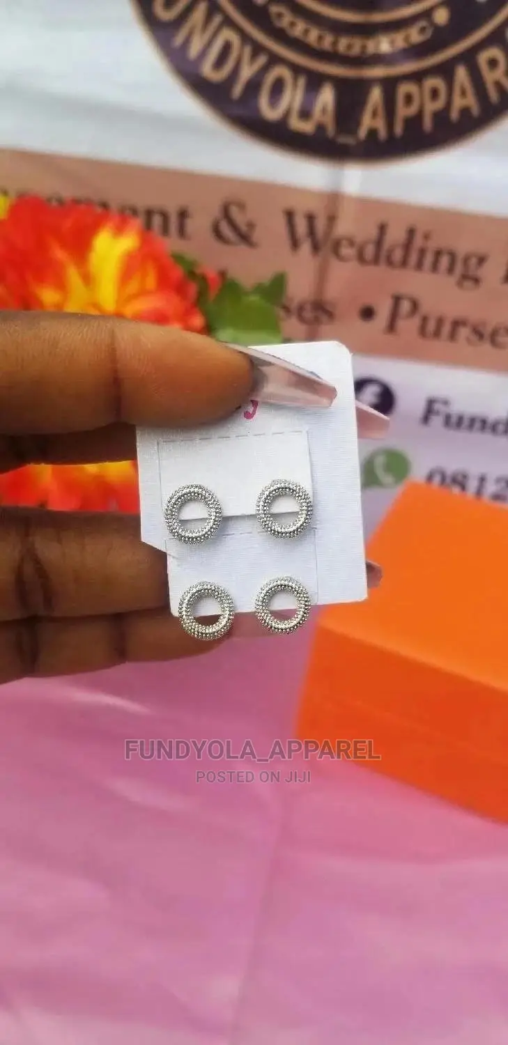 Sliver Round Pin Earrings