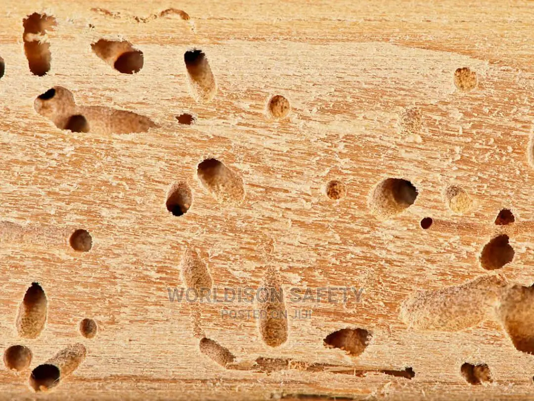 Termite Treatment and Control