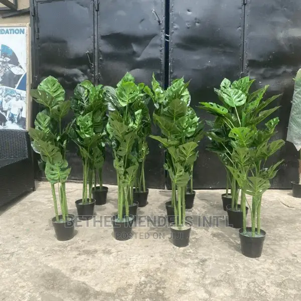 Artificial Flowers/Plants Wholesale | Faux Monstera Plants