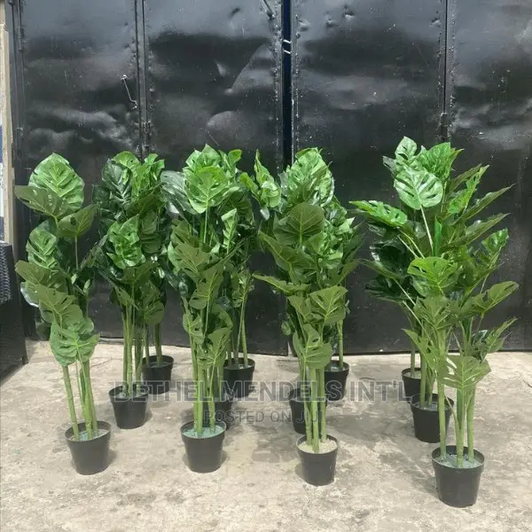 Artificial Flowers/Plants Wholesale | Faux Monstera Plants