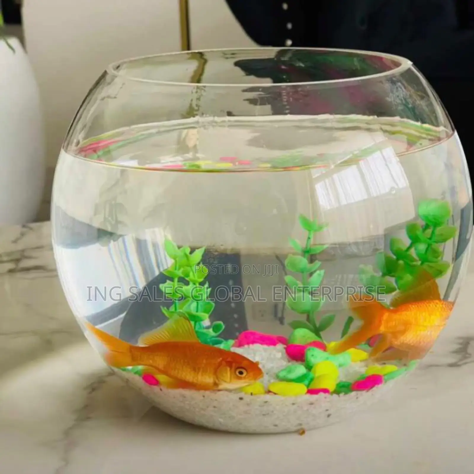 Aquarium Fishbowl Kit With 2 Fishes