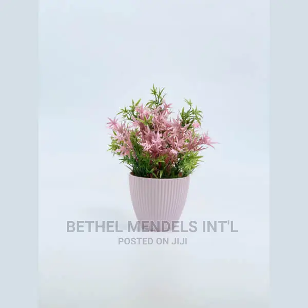 Wholesale of Beautiful Tabletop Flower Pots in Asaba Delta