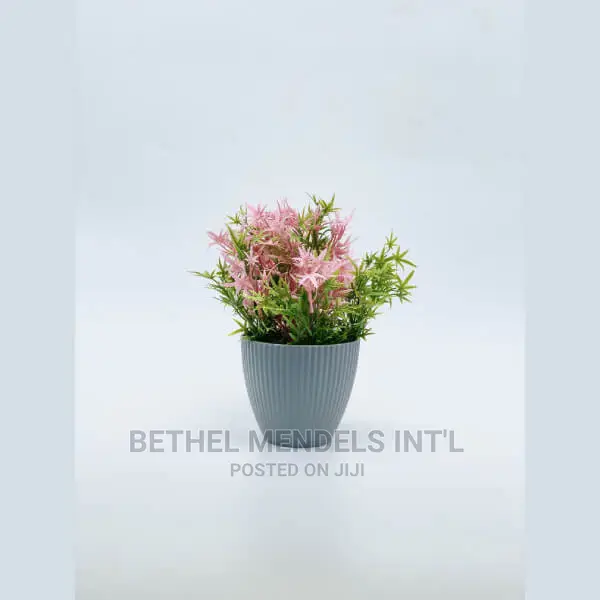 Wholesale of Beautiful Tabletop Flower Pots in Asaba Delta