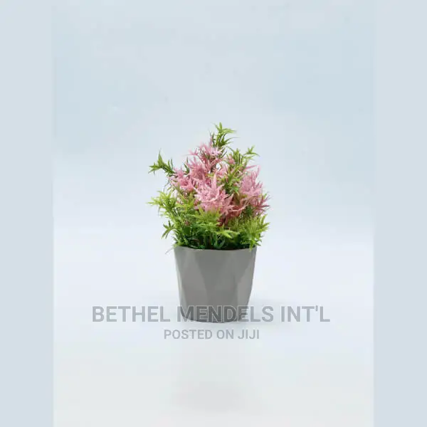 Wholesale of Beautiful Tabletop Flower Pots in Asaba Delta