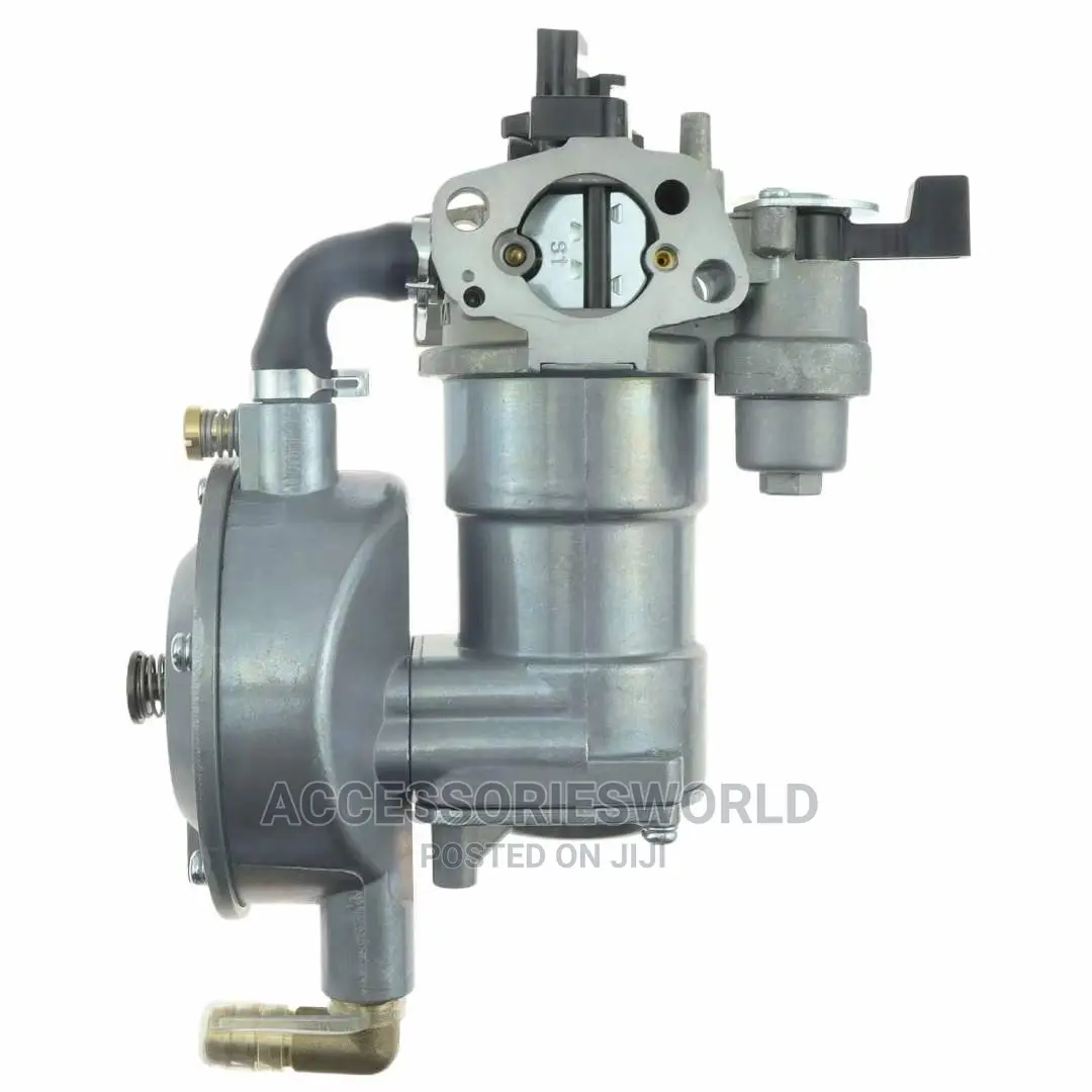 LPG 168 Carburetor Dual Fuel LPG NG Conversion Kit for 2KW