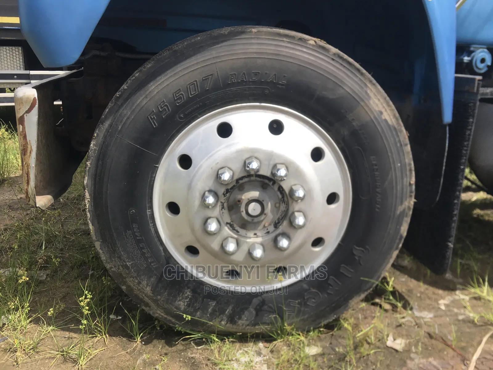 Mack Truck Calf and Chassis 10 Tyres