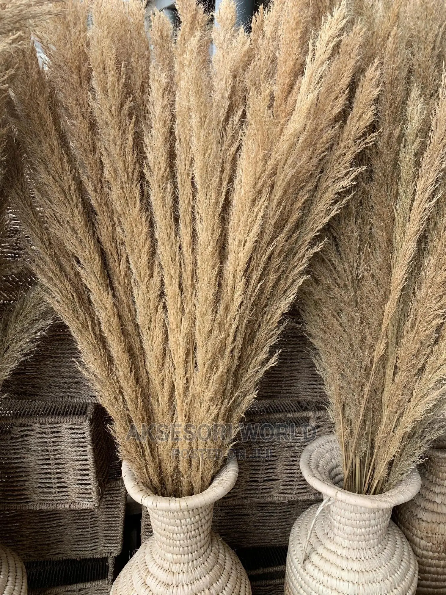Pampas for Flower Vase