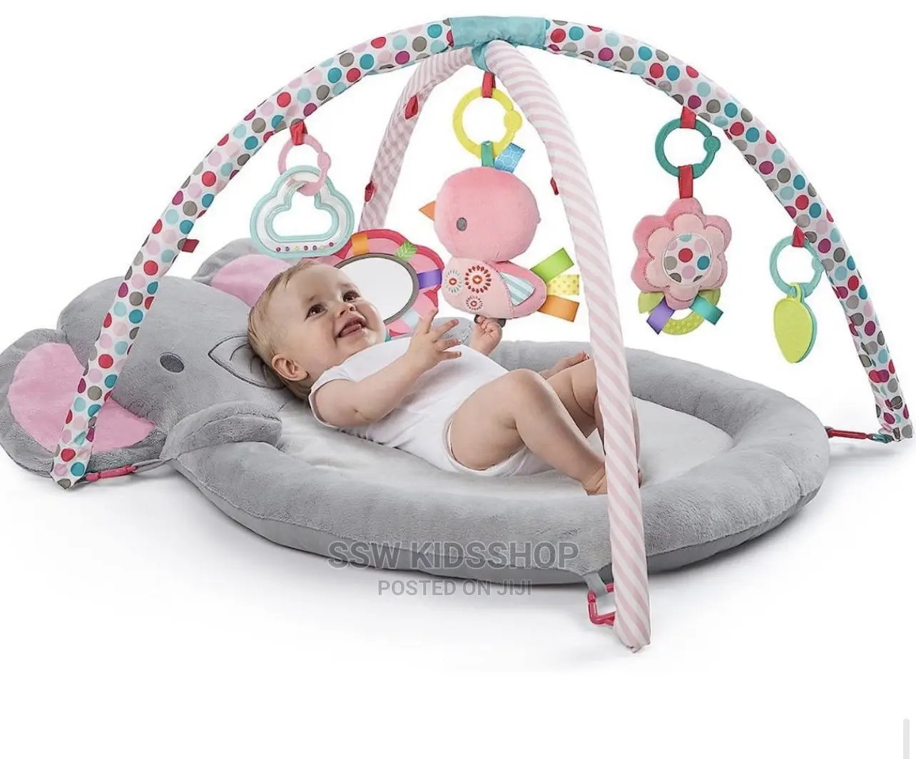 Bright Starts Hugs and Cuddle Baby Activity Play Gym