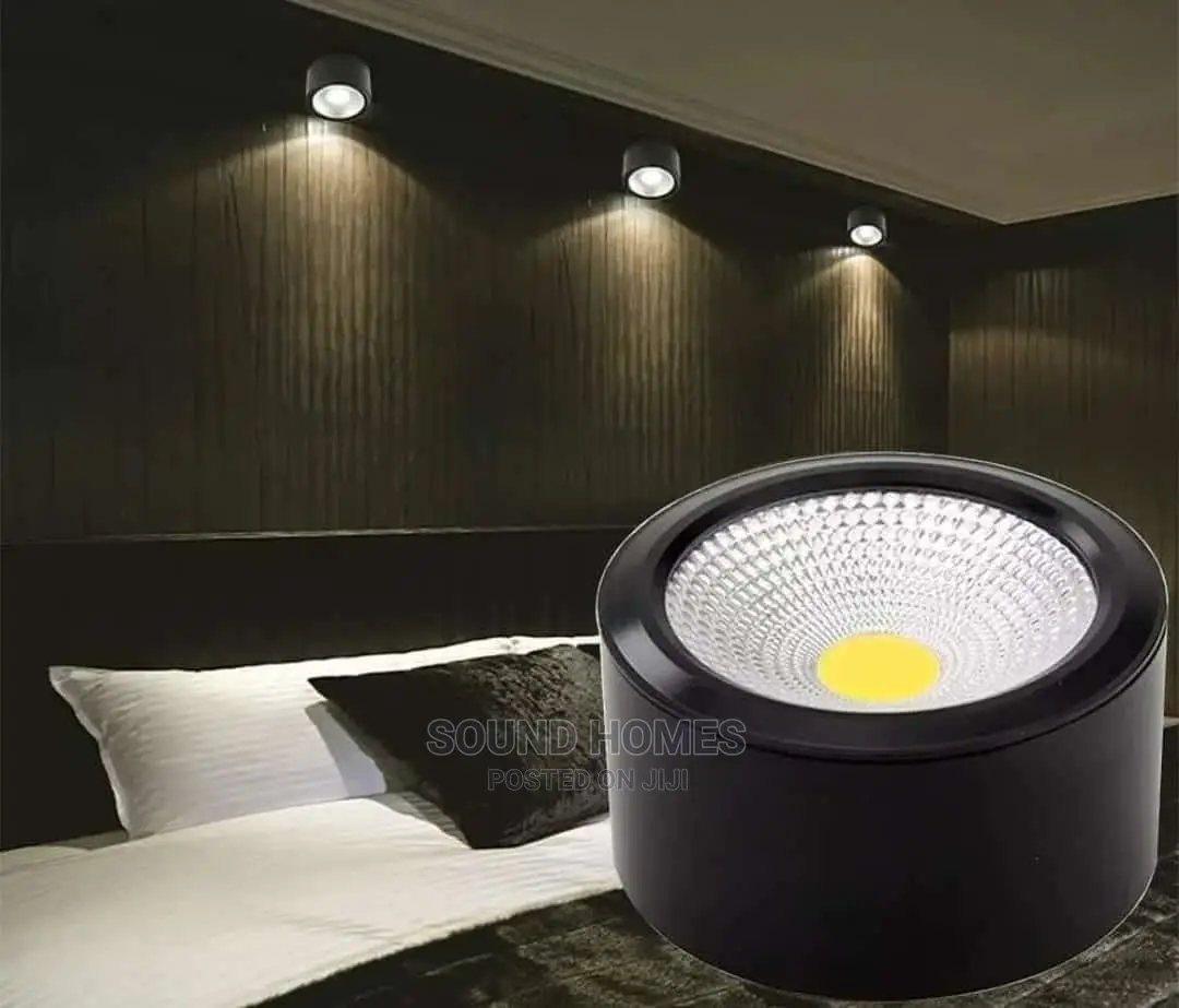 10w Surface Parapets Down Light