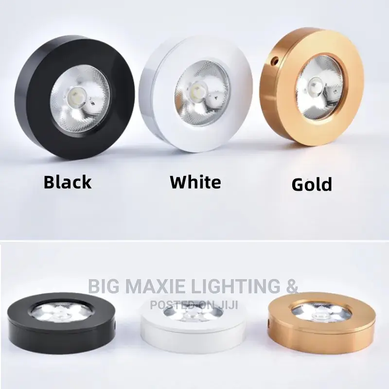 Surface Mounting Lights