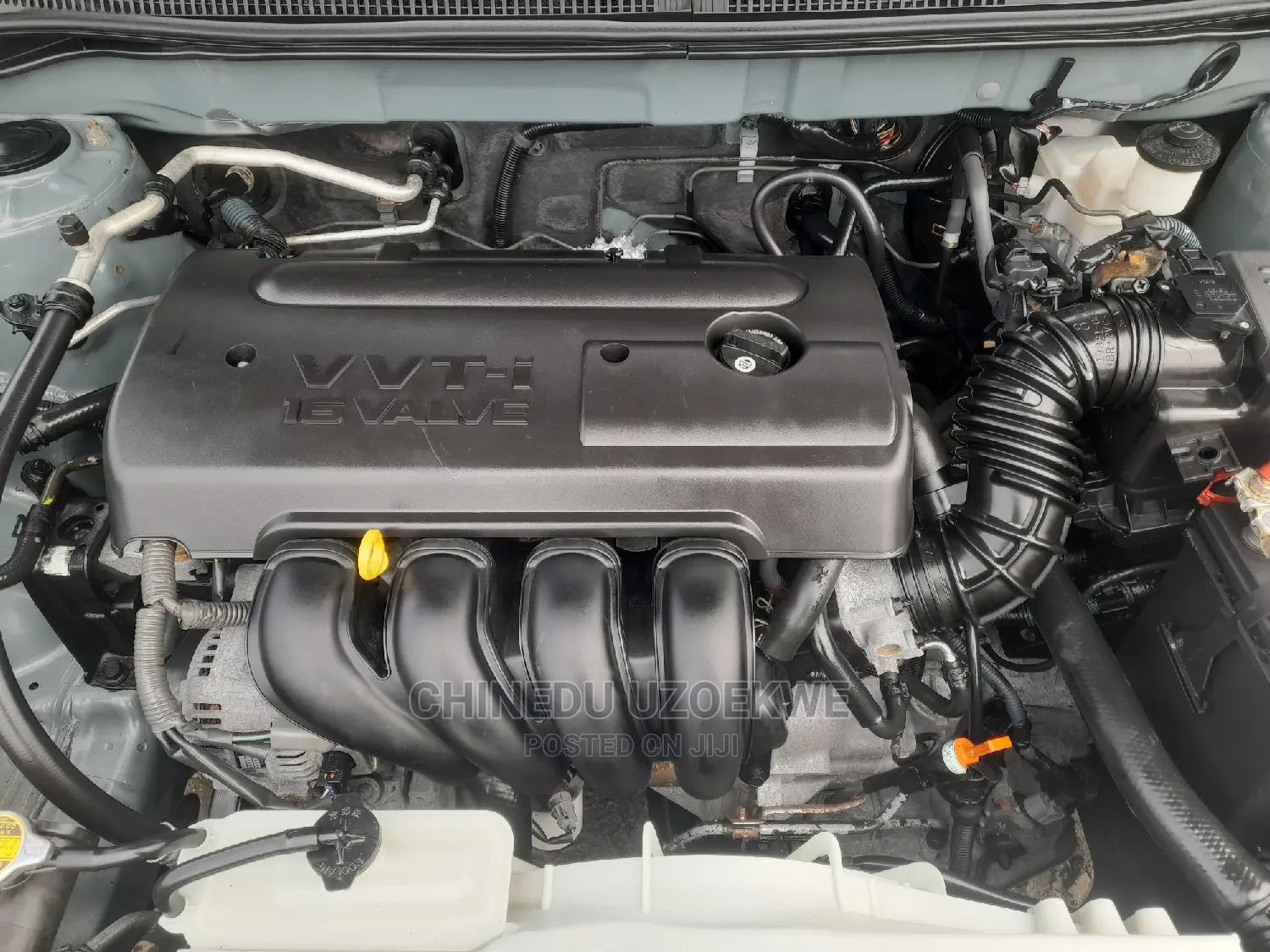 Toyota Corolla LE 2007 Green