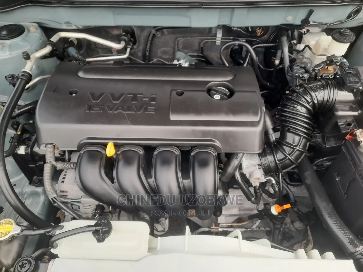 Toyota Corolla LE 2007 Green