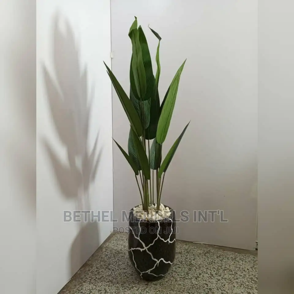 Bulk Sale of Combo Artificial Plant/Fiberglass Vase in Abuja