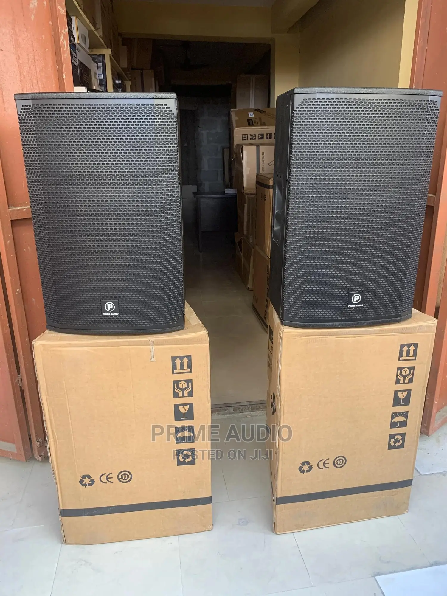 Prime Audio 15 Inch Professional Hanging Speaker