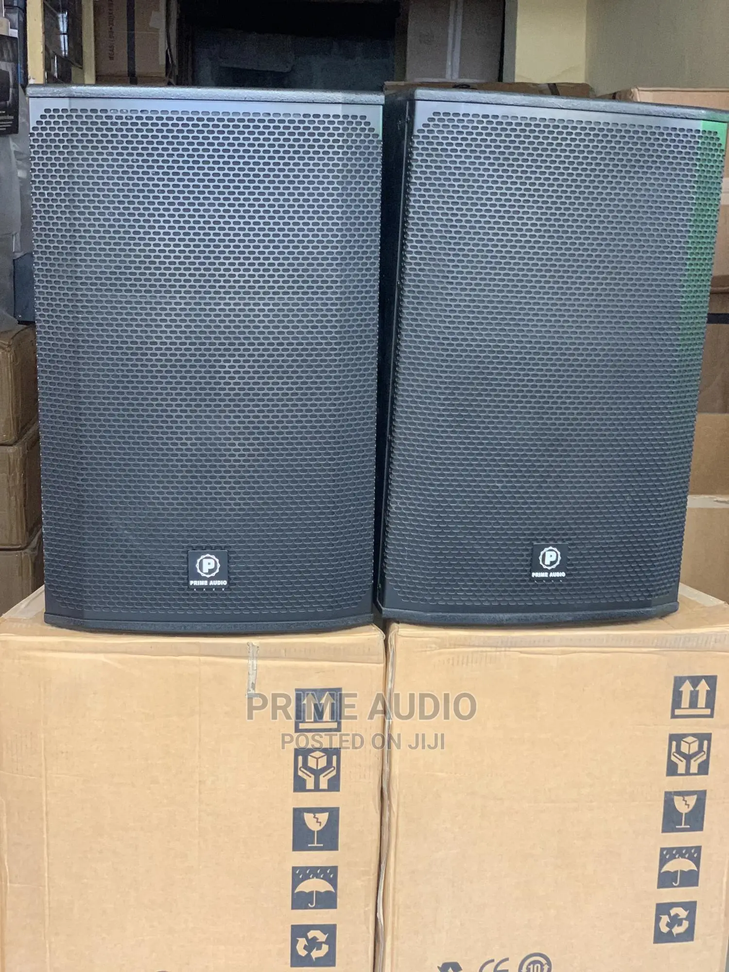 Prime Audio 15 Inch Professional Hanging Speaker