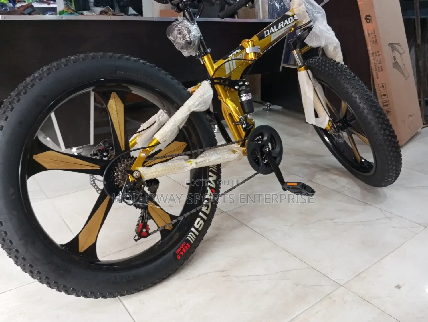Splendid Prolife Bike
