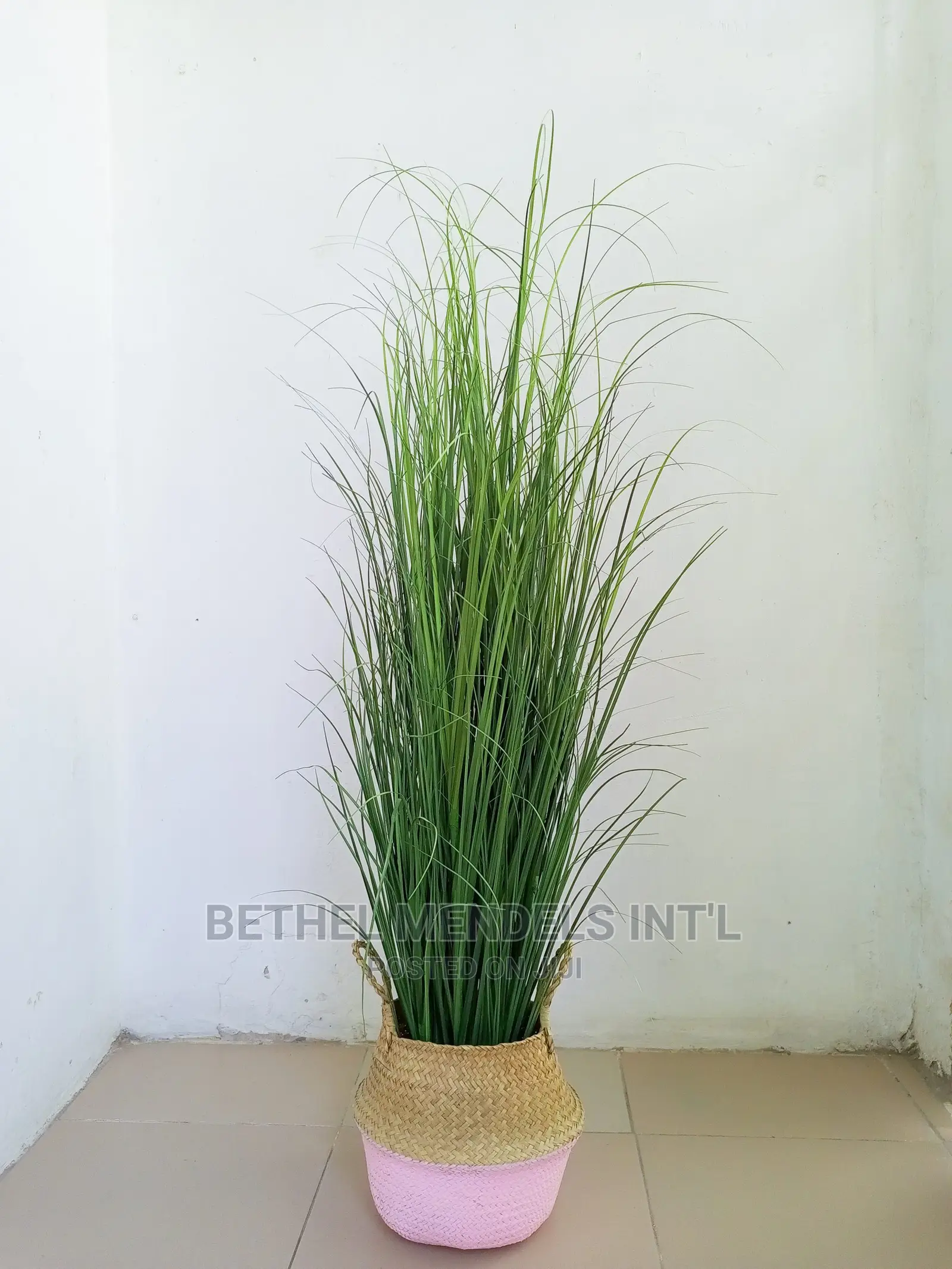 Wholesales of Artificial Reed Grass Plants in Gwarinpa Abuja