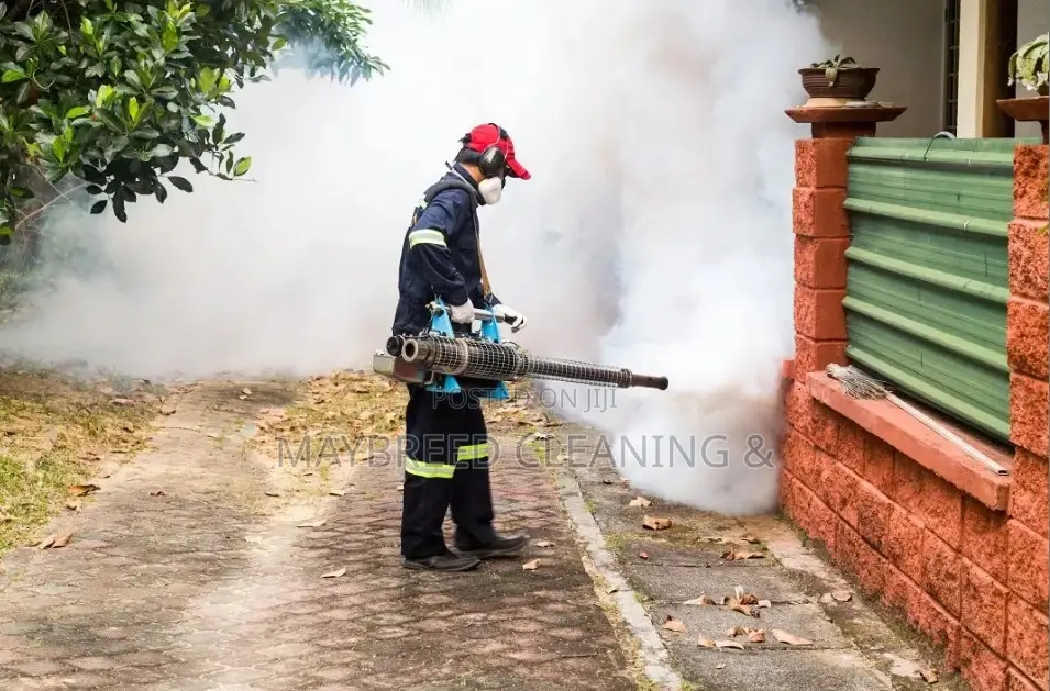 Massive Fumigation Service