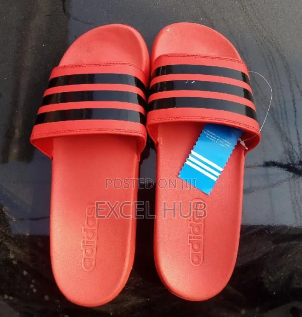 Skate Shoe Long Feng