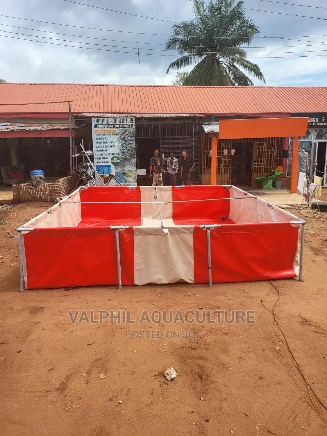 Colorful Fish Pond