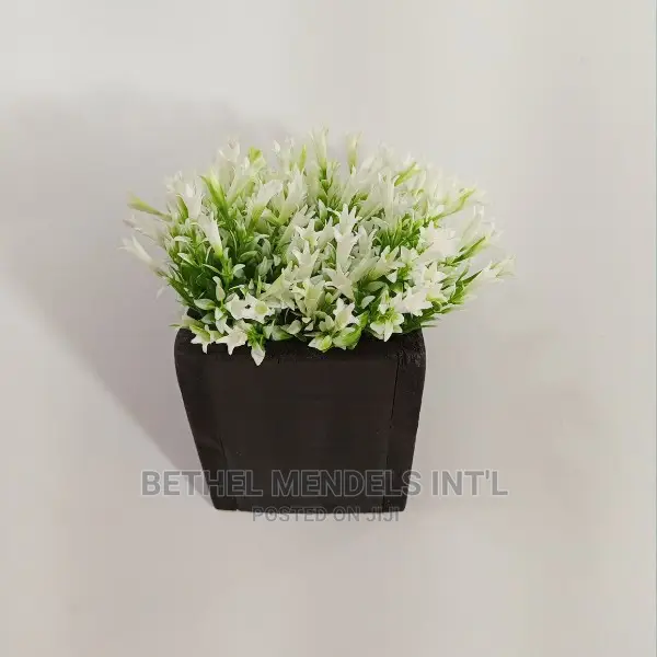 Wholesale of Well Crafted Wooden Hanging Flower Vases