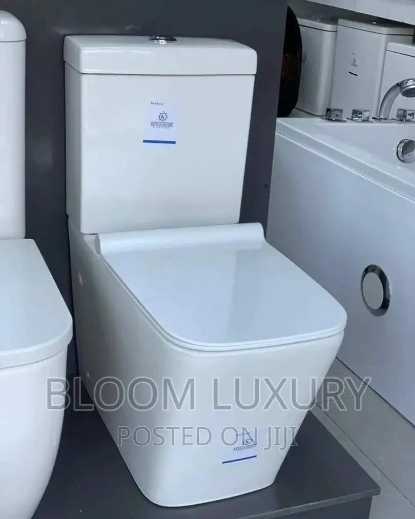 Seat and Tank Toilet
