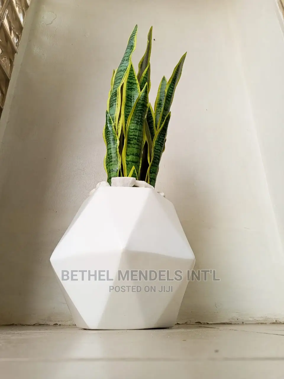 Fiberglass Flowers Pots/Vase Potted With Fake Snake Plants