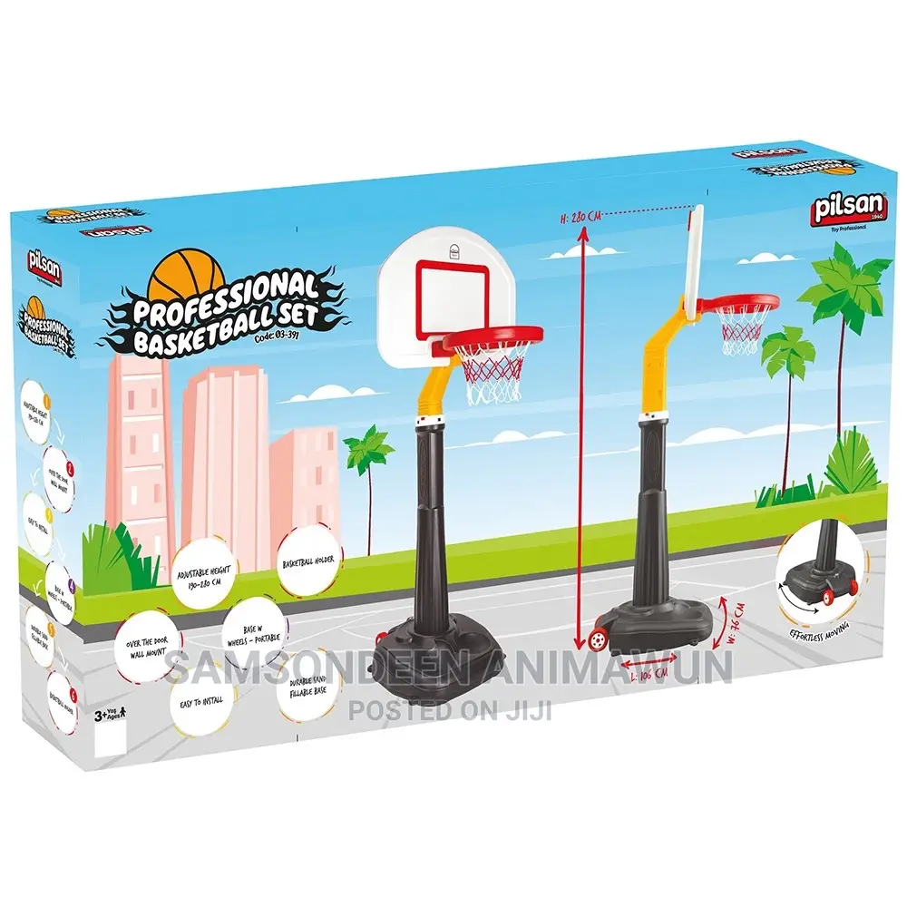 Professional Basketball