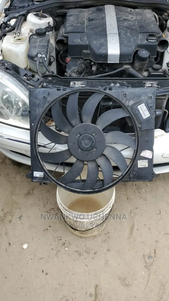 Fan All Types