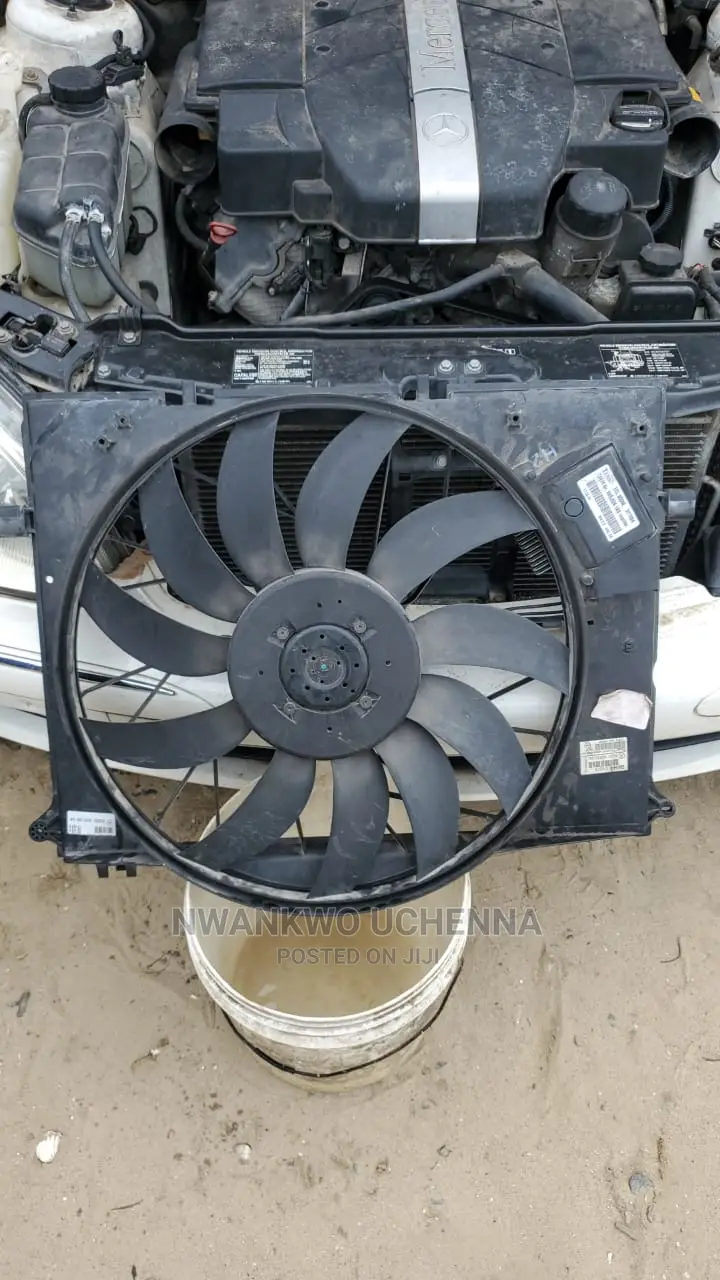 Fan All Types