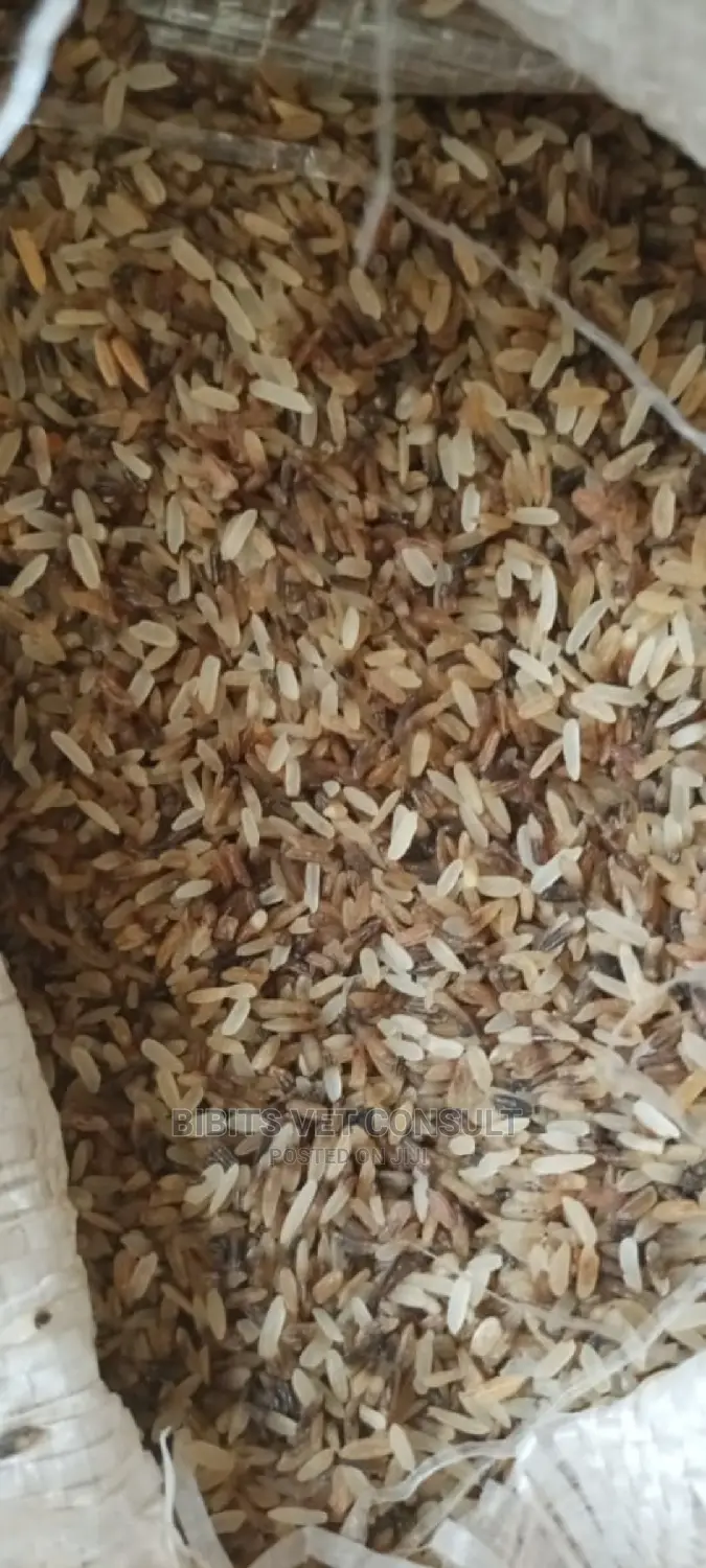 50kg Packaged Brown Rice For Dog