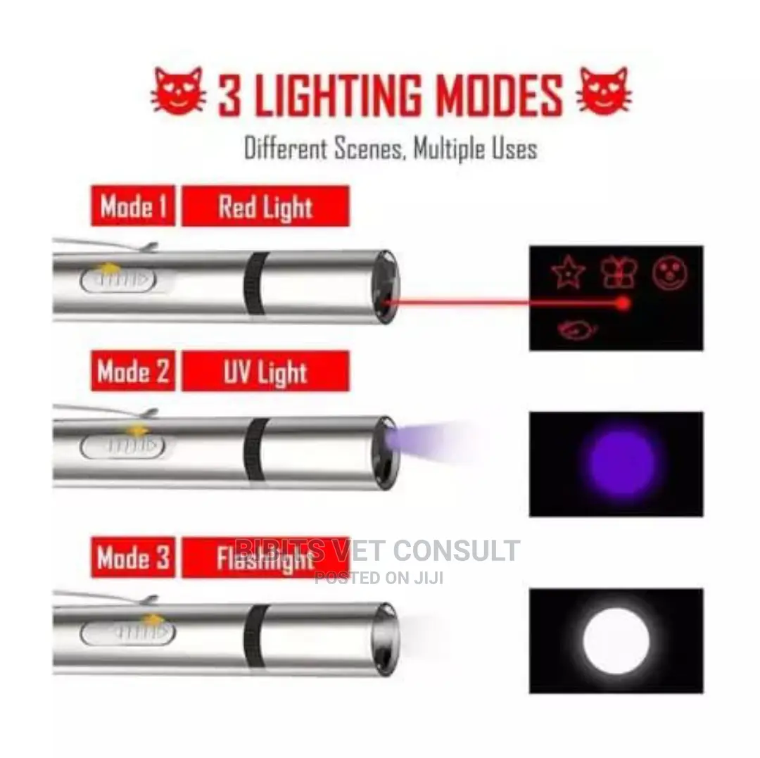 Infrared Led Laser Pointer Cat Dog Toy USB Charging/Battery