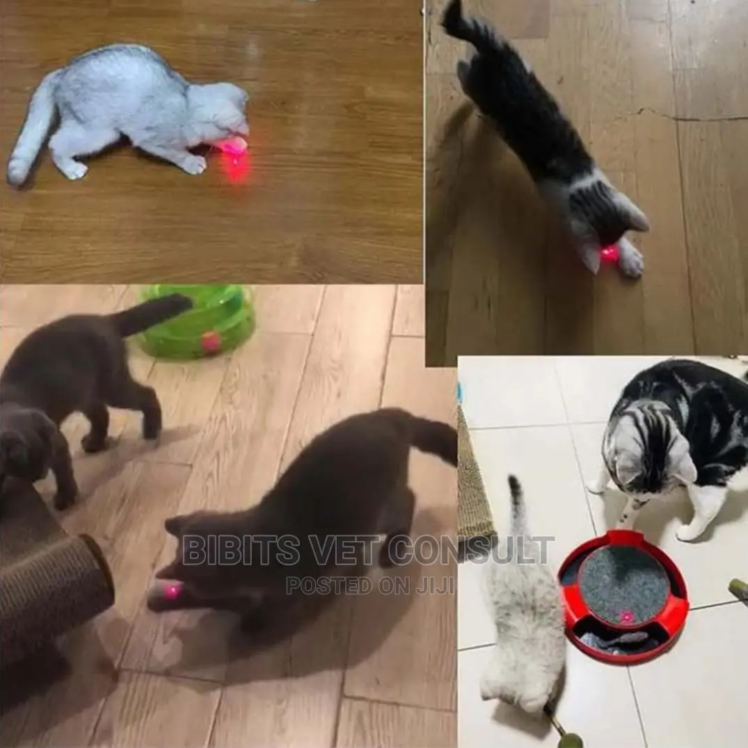 Infrared Led Laser Pointer Cat Dog Toy USB Charging/Battery
