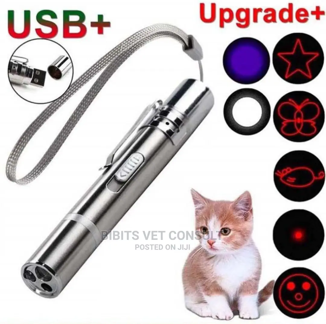 Infrared Led Laser Pointer Cat Dog Toy USB Charging/Battery
