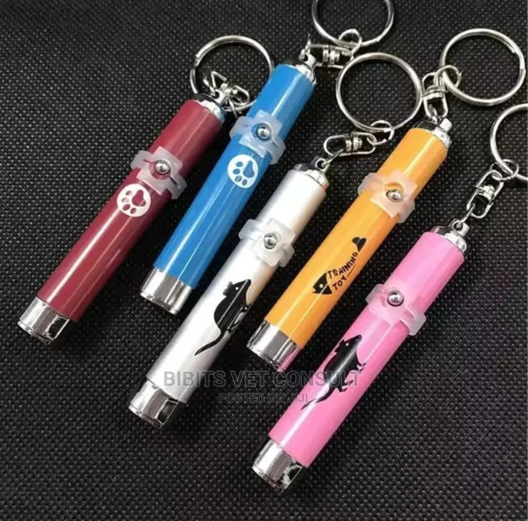 Infrared Led Laser Pointer Cat Dog Toy USB Charging/Battery