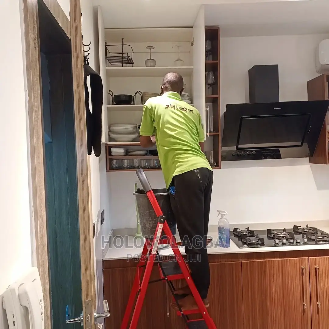 Profesional Afordable Cleaning,Fumigation Upholstery Service