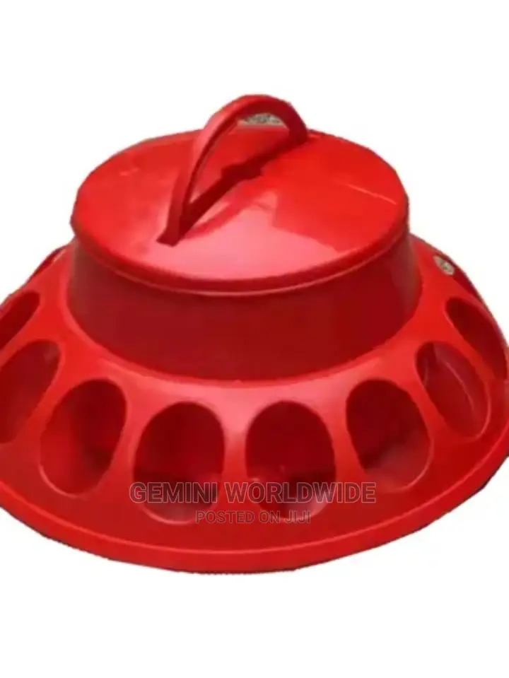 Feeder for Day Old Birds