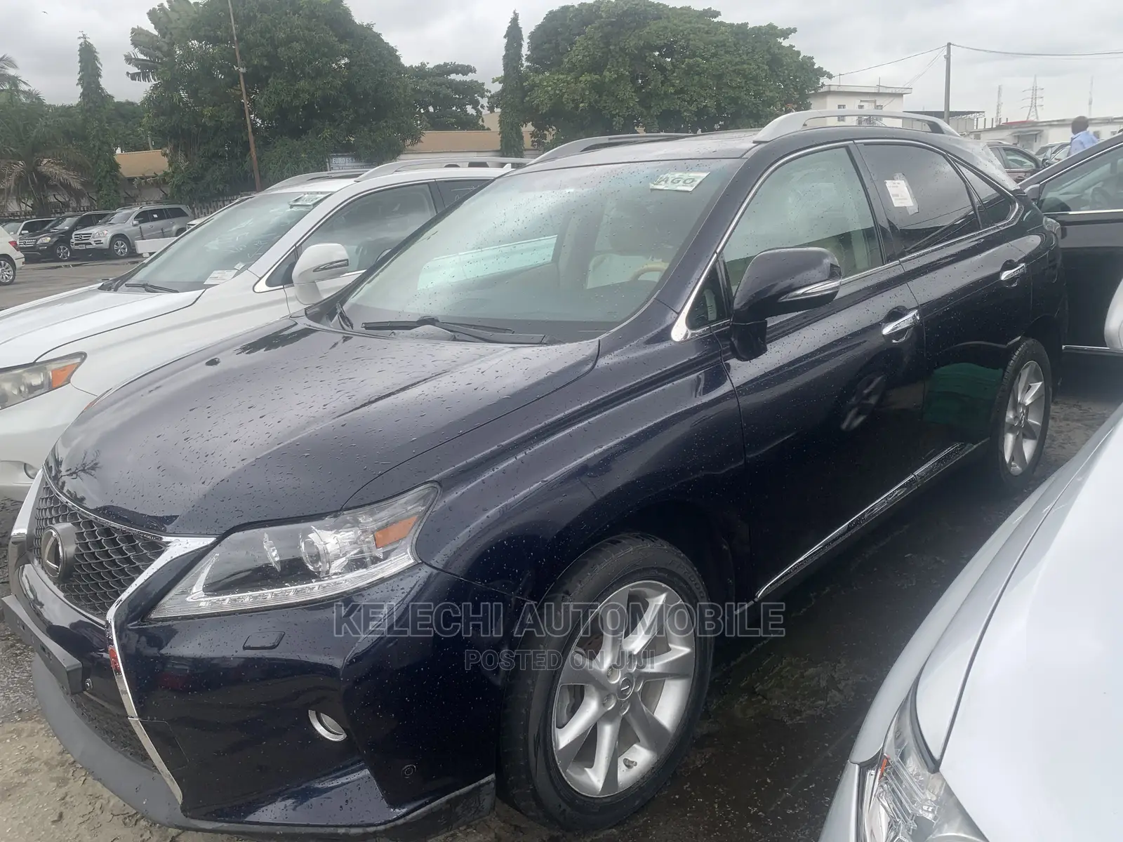 Lexus RX 350 2010 Blue