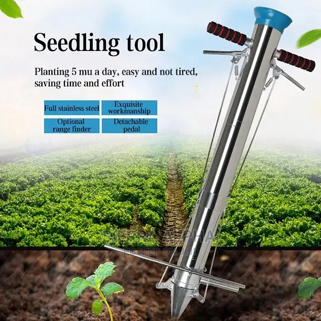 Transplanter