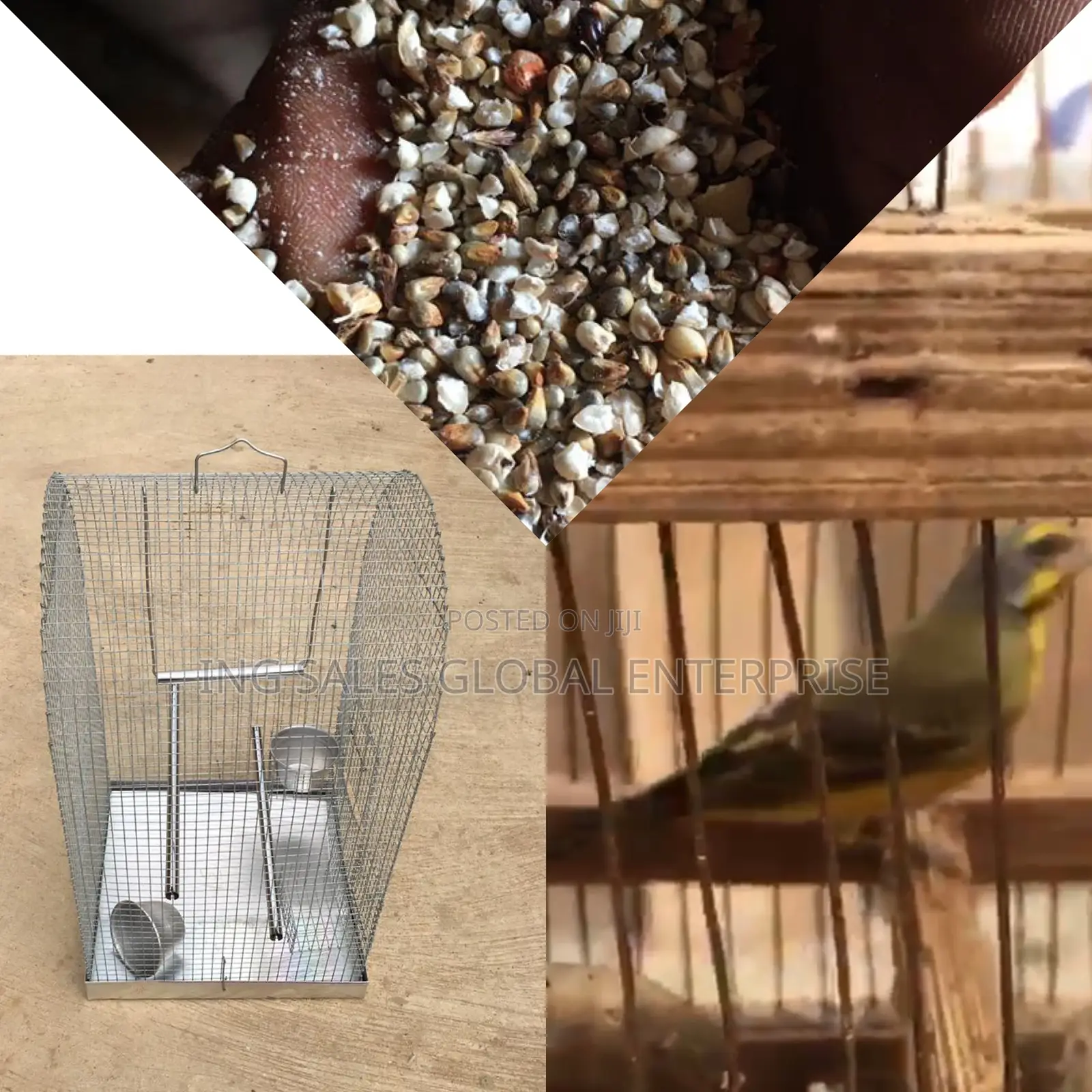 One Male Yellow/Black Mix Canery Bird,Steel Cage and Feed