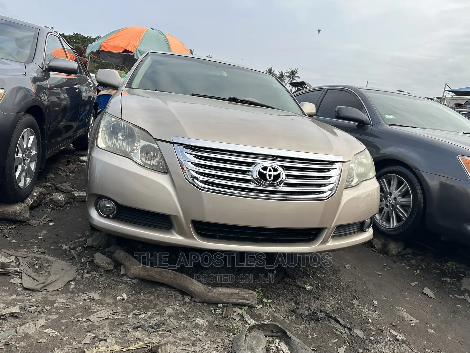 Toyota Avalon Limited 2007 Gold